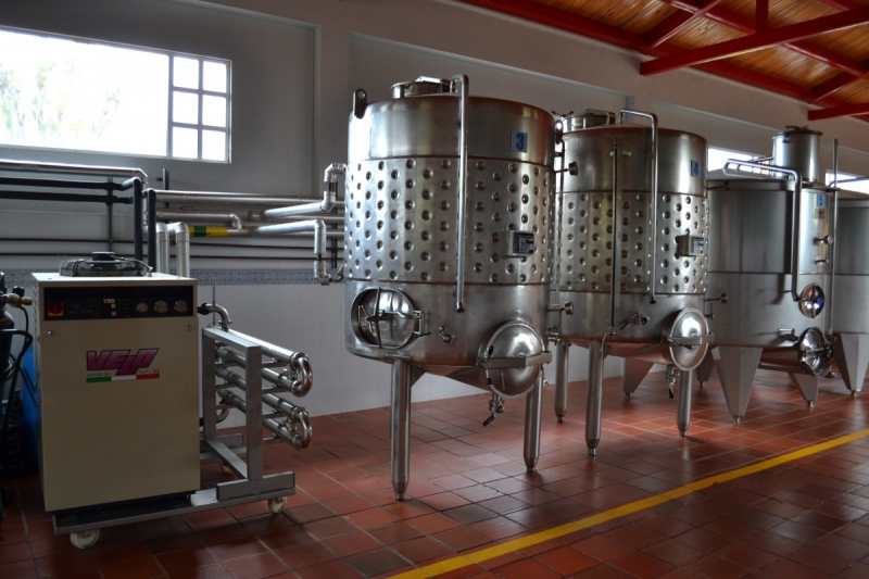 cave-AURIBEAU SUR SIAGNE-min_wine_production_cantine_winery_drink_alcohol_vine_beverage-902036